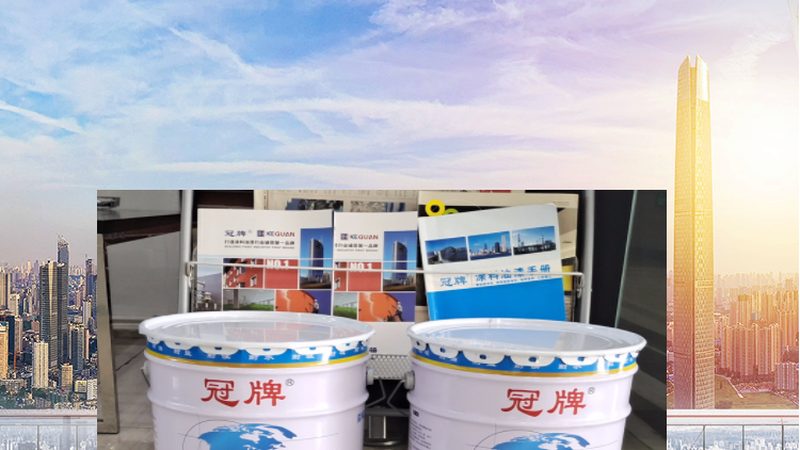 墙面漆价格解析：升桶成本背后的秘密**